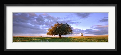 Framed Treescape Print