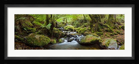 Framed Cement Creek Print
