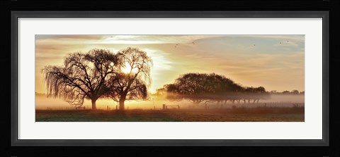Framed Misty Morning 2 Print