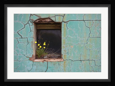 Framed Window 3 Print