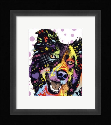 Framed Border Collie 1 Print