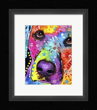 Framed Closeup Labrador Print