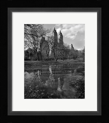 Framed Central Park Reflections Print