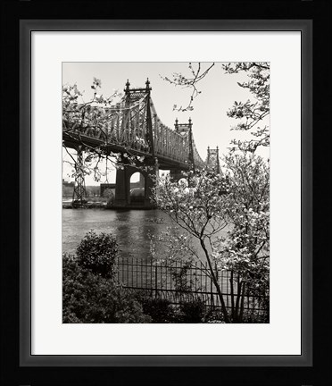 Framed 59Th Street Bridge Print