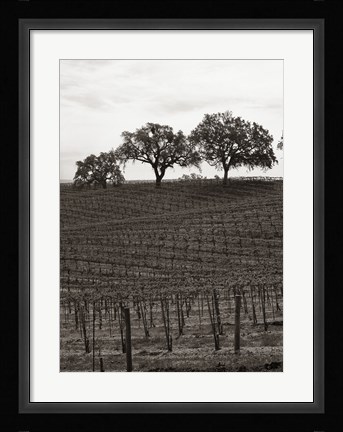 Framed Paso Robles Toned Print