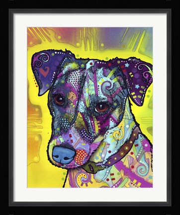 Framed Jack Russell Print