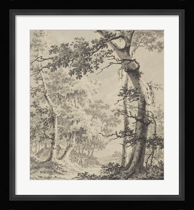 Framed Wooded Landscape Print