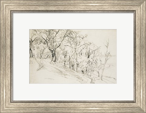 Framed Forest in Boisremond Print