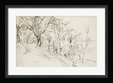 Framed Forest in Boisremond Print