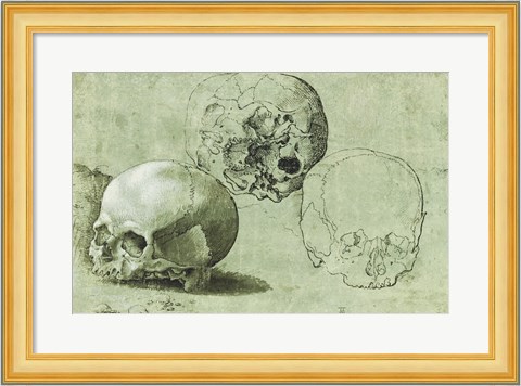 Framed Study of Three Skulls Print
