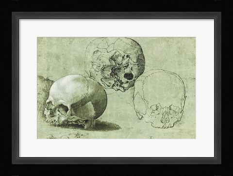 Framed Study of Three Skulls Print