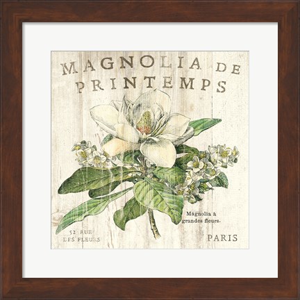 Framed Magnolia de Printemps Print