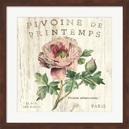 Framed Pivoine de Printemps Print