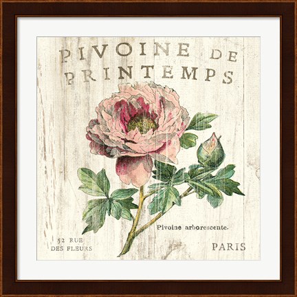 Framed Pivoine de Printemps Print