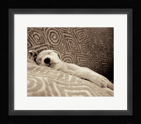 Framed Dog Tired Print