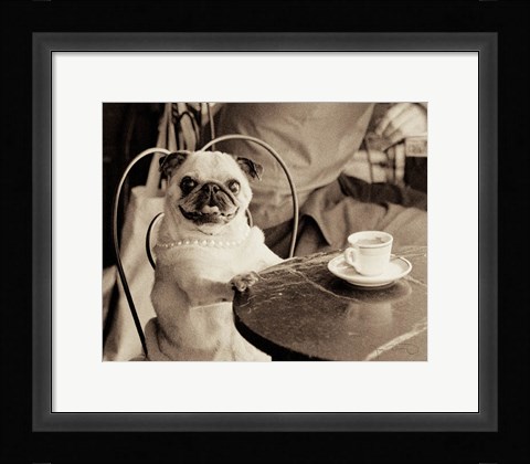 Framed Cafe Pug Print