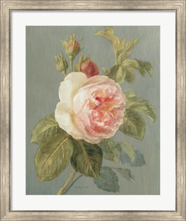 Framed Heirloom Pink Rose Print