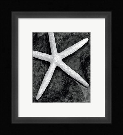 Framed Explore Print