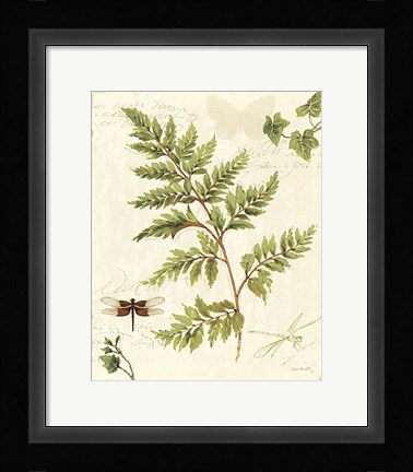 Framed Ivies and Ferns I Print