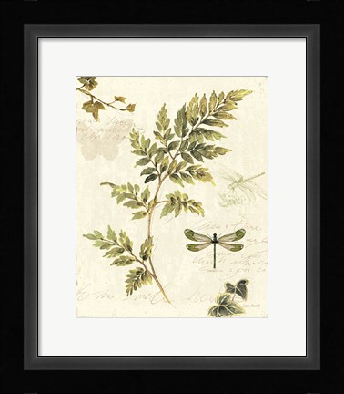 Framed Ivies and Ferns III Print