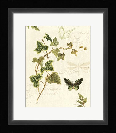 Framed Ivies and Ferns IV Print