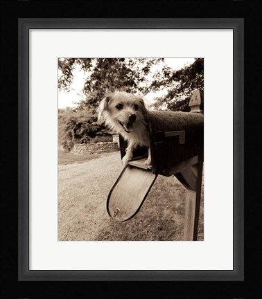 Framed You've Got Mail Print