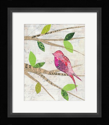 Framed Birds in Spring IV Print