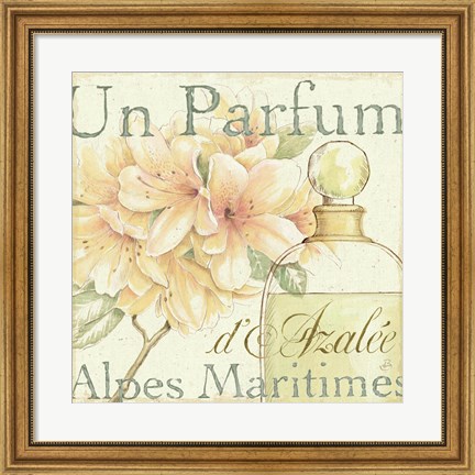 Framed Fleurs and Parfum III Print