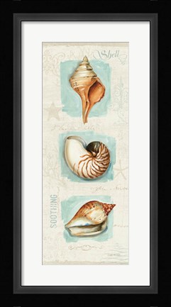 Framed Coastal Jewels Panel II Print