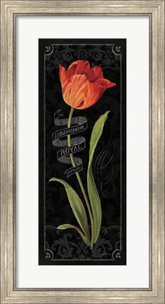 Framed Tulipa Botanica II Print