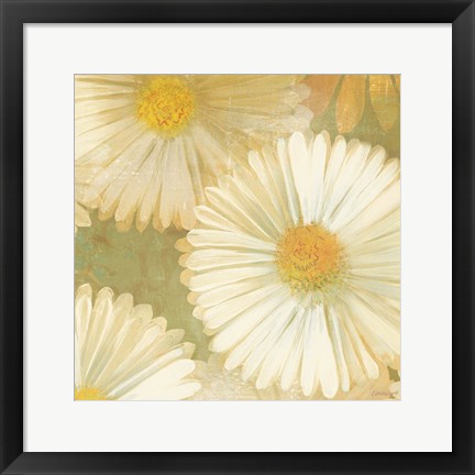 Framed Daisy Story Square I Print