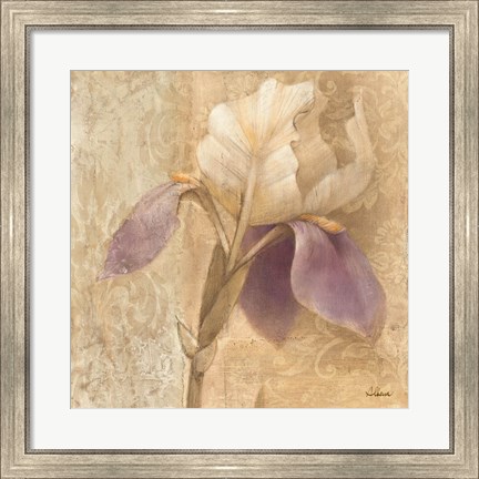 Framed Brocade Iris Print