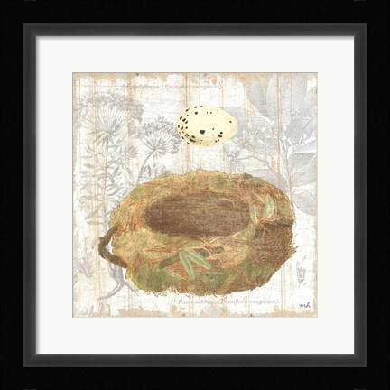 Framed Botanical Nest I Print