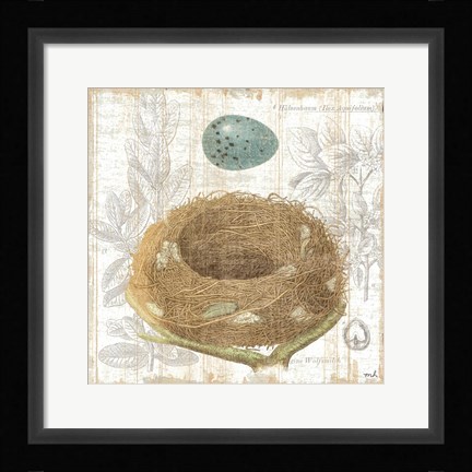 Framed Botanical Nest III Print