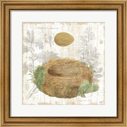 Framed Botanical Nest IV Print