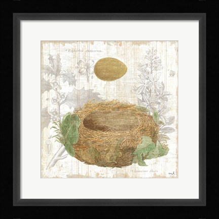Framed Botanical Nest IV Print