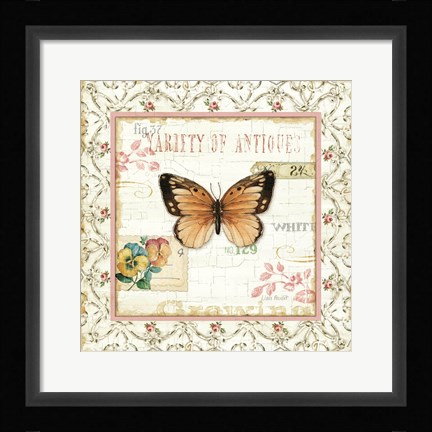 Framed Rose Garden V Print