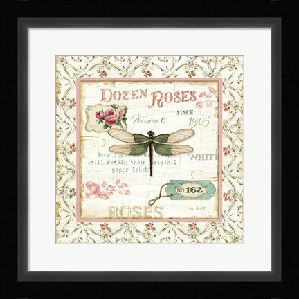 Framed Rose Garden VI Print