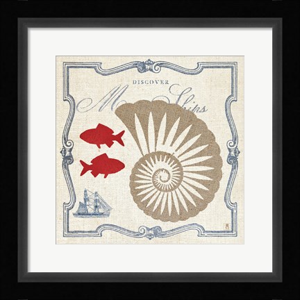 Framed Pacific Nautilus Print