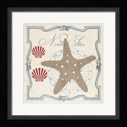Framed Pacific Starfish Print