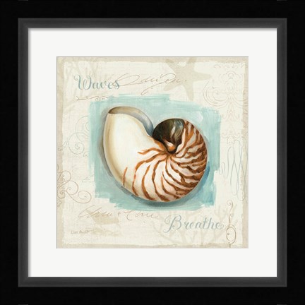 Framed Coastal Jewels II Print
