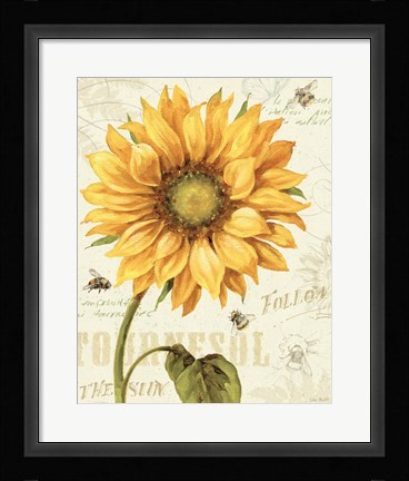 Framed Under the Sun I Print