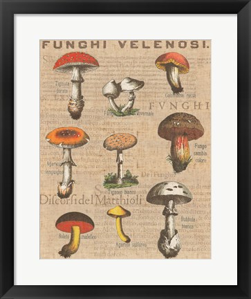 Framed Funghi Velenosi I Print