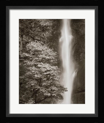 Framed Multnomah Falls Print
