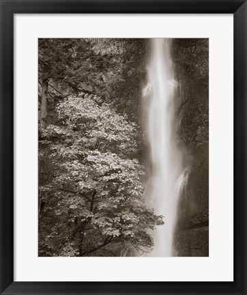 Framed Multnomah Falls Print