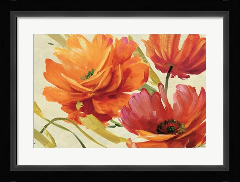 Framed Flamboyant III Print