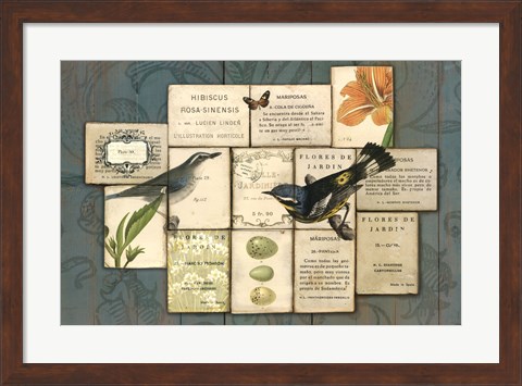 Framed Birds of the Garden Print