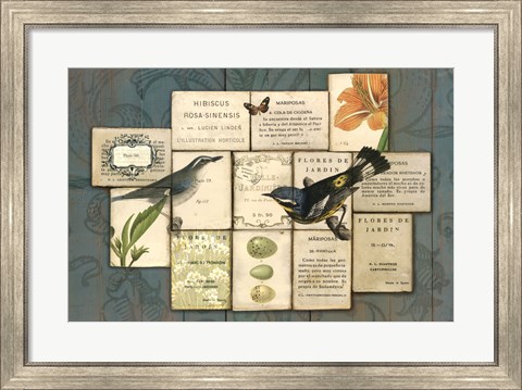 Framed Birds of the Garden Print