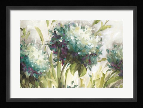Framed Hydrangea Field Print