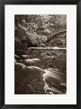 Framed Whatcom Creek Print